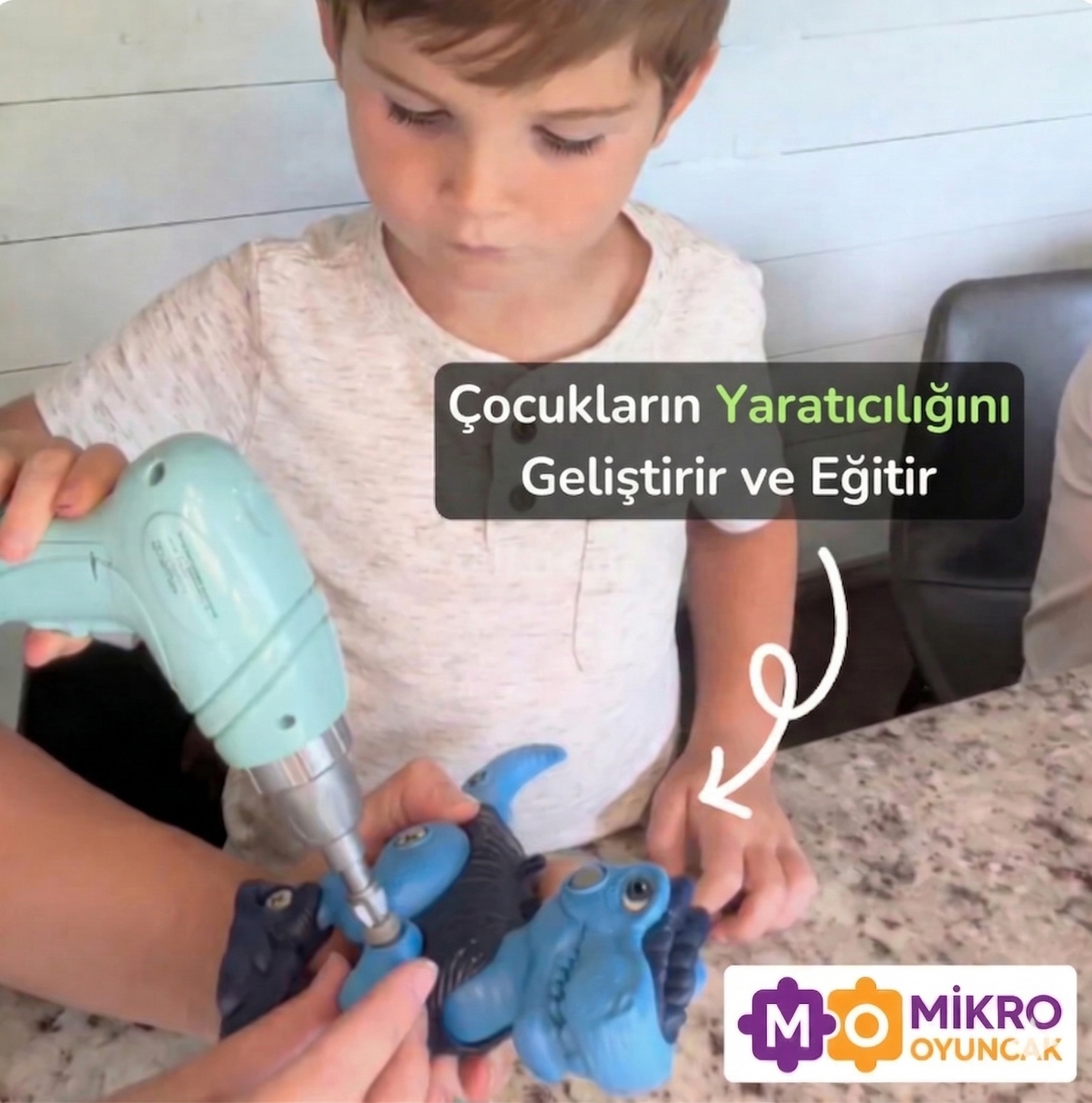 Sök Tak Dinazor Seti