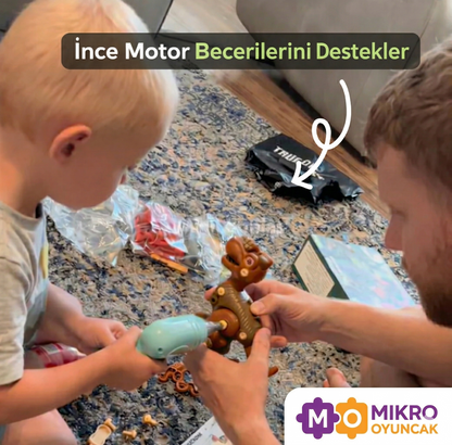 Sök Tak Dinazor Seti